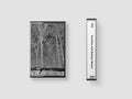 Sunshine and Balance Beams CASSETTE by Pile album artwork