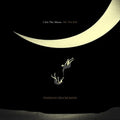 I Am The Moon: III. The Fall LP by Tedeschi Trucks Band album artwork