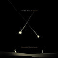 I am the Moon: IV. Farewell LP by Tedeschi Trucks Band album artwork