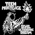 Devil Ultrasonic Dream LP by Teen Mortgage album artwork