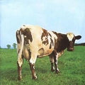 Atom Heart Mother LP by Pink Floyd album artwork