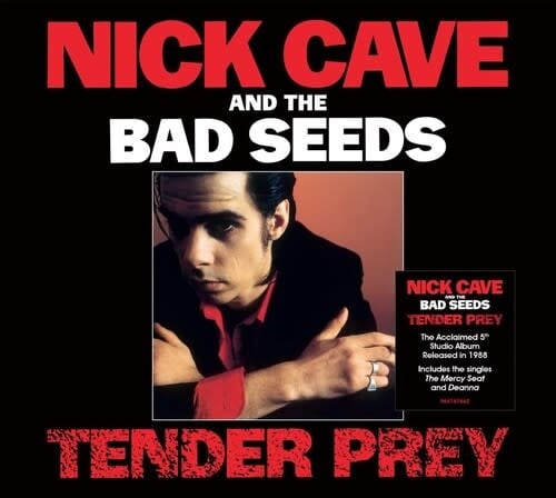 Tender Pray CD by Nick Cave album artwork