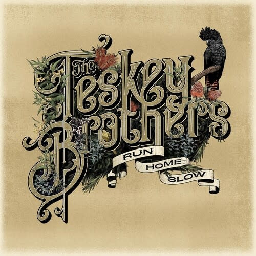 Run Home Slow LP by The Teskey Brothers album artwork
