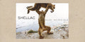 Dude Incredible LP by Shellac album artwork