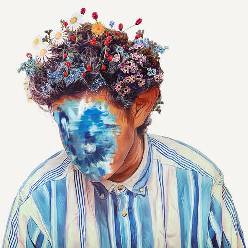 Fall of Hobo Johnson LP by Hobo Johnson album artwork