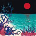 The First ... Album 2LP by Glass Beach album artwork