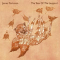 The Year of the Leopard 2LP by James Yorkston album artwork