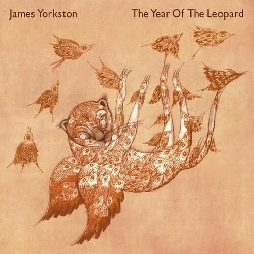 The Year of the Leopard 2LP by James Yorkston album artwork