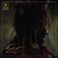It is What it is LP by Thundercat album artwork