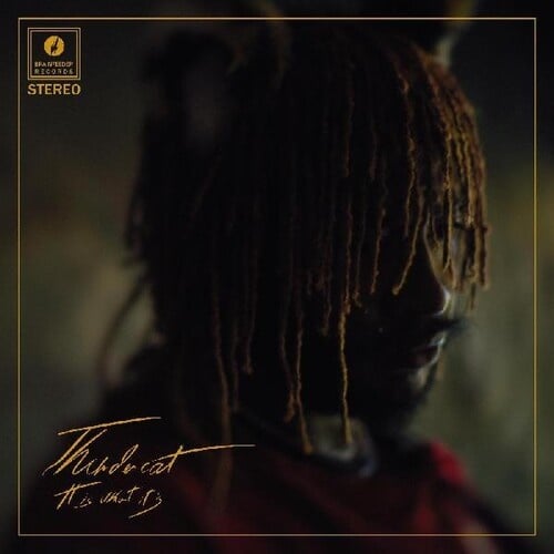 It is What it is LP by Thundercat album artwork
