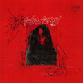 Bruises LP by Total Tommy album artwork