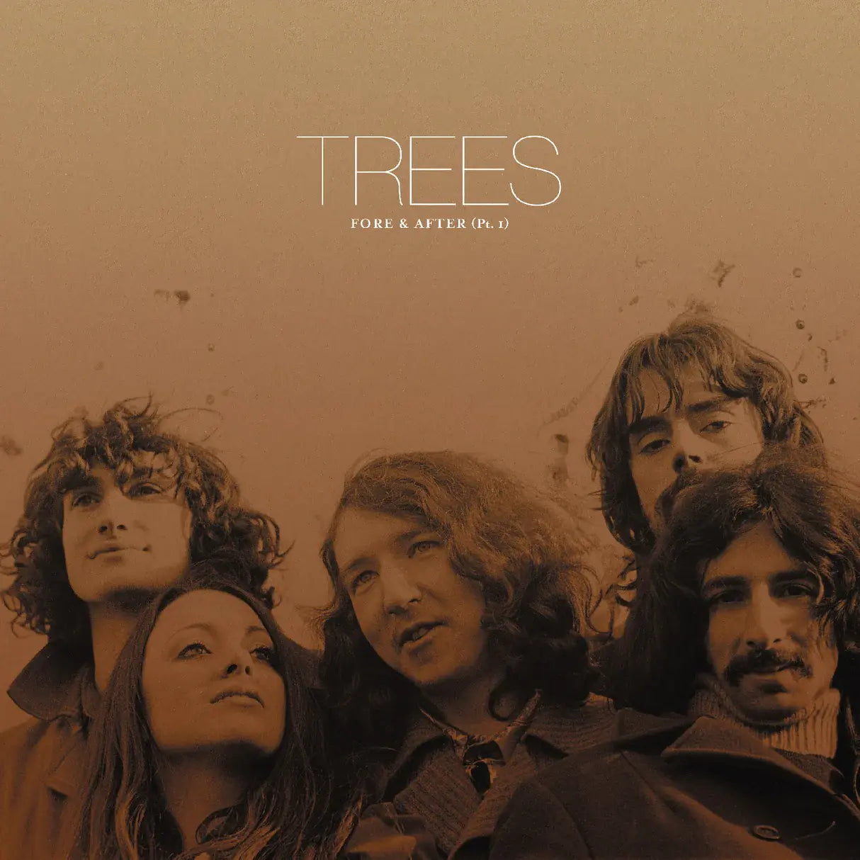 Fore & After LP by Trees album artwork