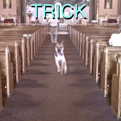 Trick CD by Alex G album artwork