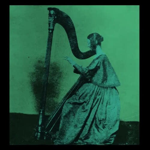 Grapes Upon The Vine LP by TV Girl album artwork