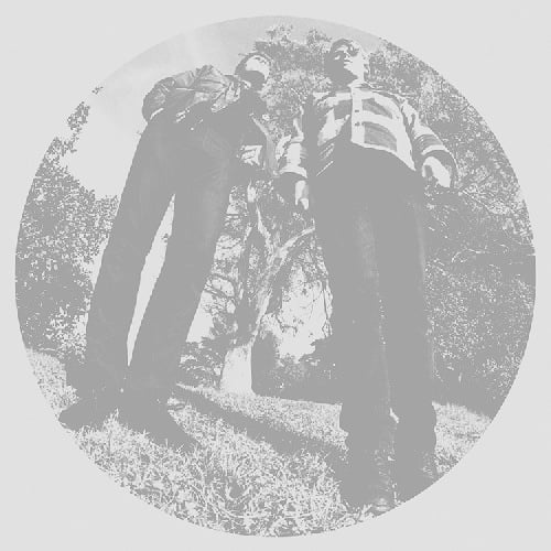 Hair LP by Ty Segall album artwork