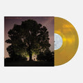 Celestun LP by Tyler Ramsey album artwork