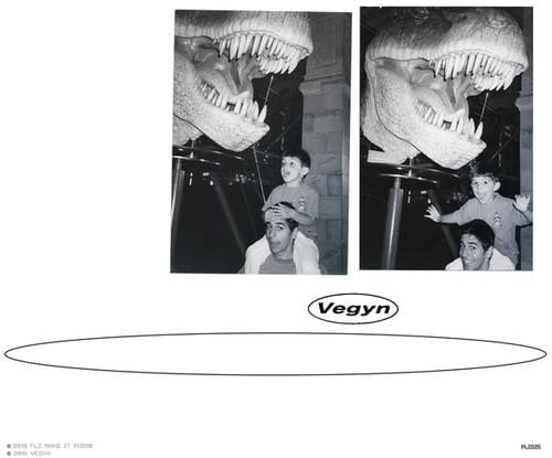 Only Diamonds Cut Diamonds 2LP by Vegyn album artwork