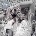 Vespertine LP by Bjork album artwork