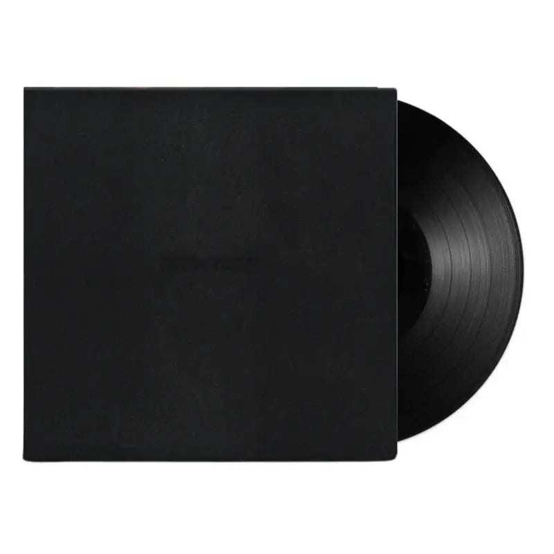Dark Times LP by Vince Staples album artwork