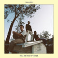 Tell Me that it's Over LP by Wallows album artwork
