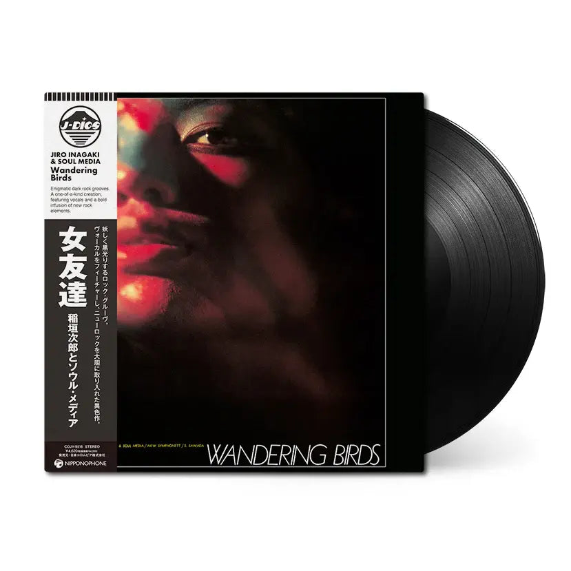 Wandering Birds LP by Jiro Inagaki album artwork