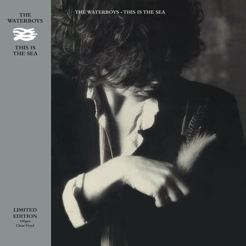 This is the Sea LP by The Waterboys album artwork