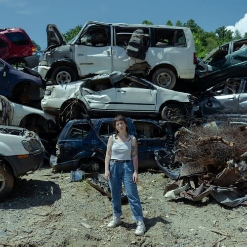 Twin Plagues LP by Wednesday album artwork