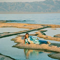 Front Row Seat to Earth LP by Weyes Blood album artwork