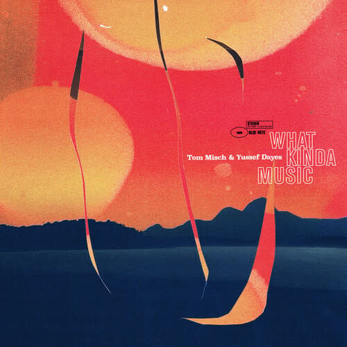 What Kinda Music LP by Tom Misch album artwork