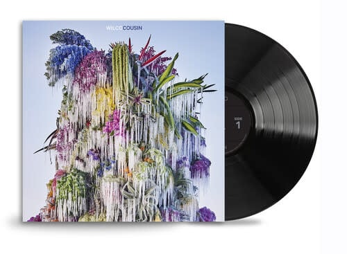 Cousin LP by Wilco album artwork