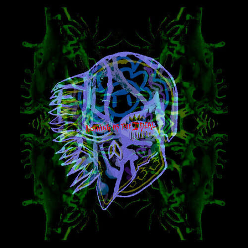 Nothing as the Ideal 2LP by All them Witches album artwork
