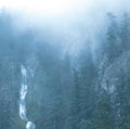Diadem of 12 Stars 2LP by Wolves In The Throne Room album artwork