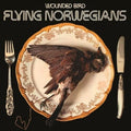 Wounded Bird LP by Flying Norwegians album artwork