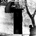 Live at the Cellar Door LP by Neil Young album artwork