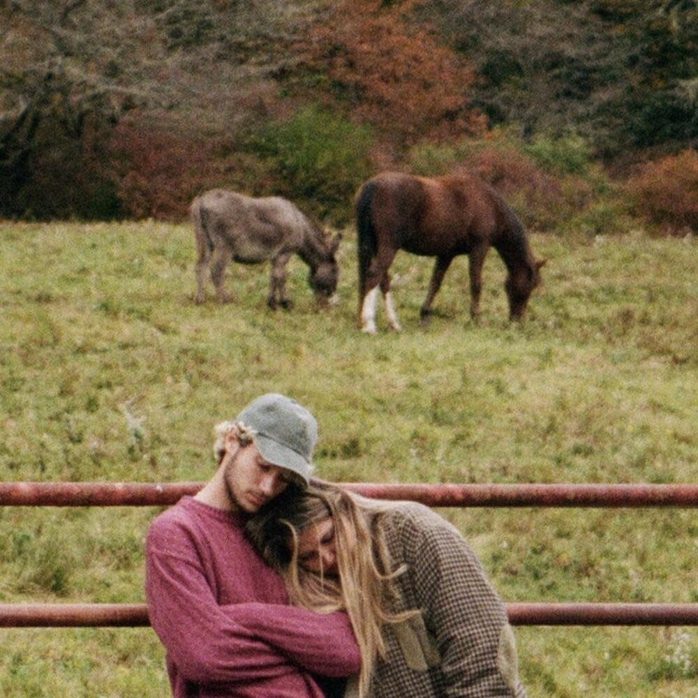 Brent II LP by Jeremy Zucker album artwork